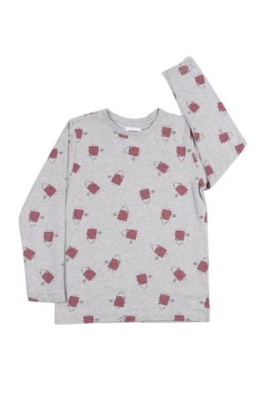 Grijs-bordeaux longsleeve - Filou & Friends - 122