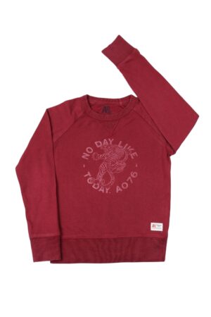 Bordeaux sweater - AO76 - 128